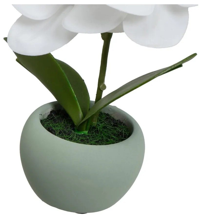 Изкуствени растения в комплект от 3 бр. (височина 15 cm) Orchid – Casa Selección