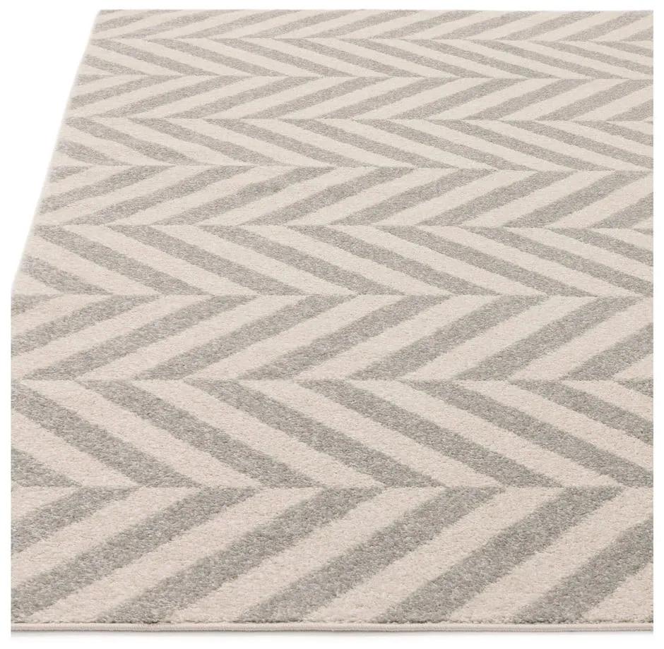 Светлосив килим 200x290 cm Muse - Asiatic Carpets