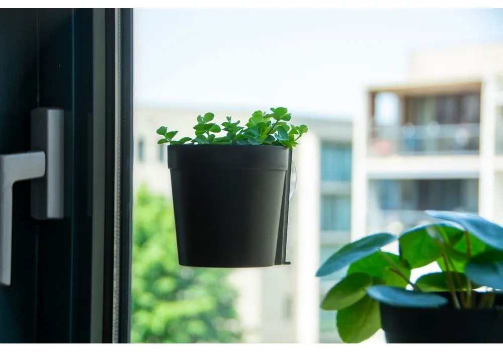 Пластмасови висящи саксии в комплект от 2 броя ø 10 см - Esschert Design