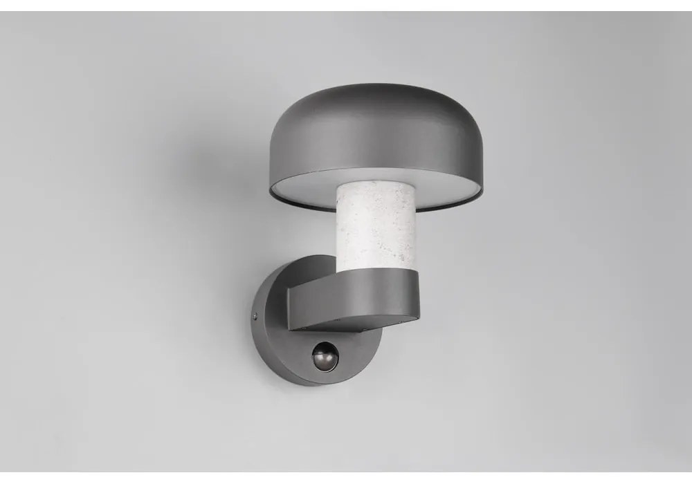 Стенно външно осветително тяло (височина 24,5 cm) Fraser – Trio