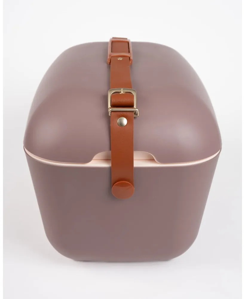 Кафява хладилна чанта 12 l Classic Gold – Polarbox