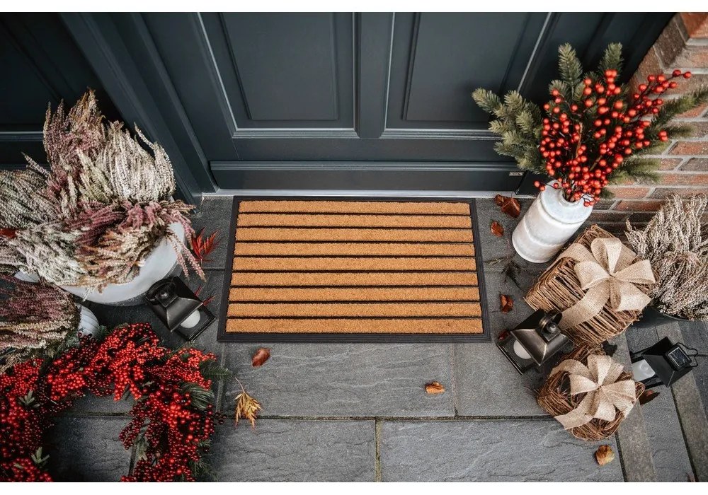 Изтривалка от кокосови влакна 45x75 cm Striped - Hanse Home