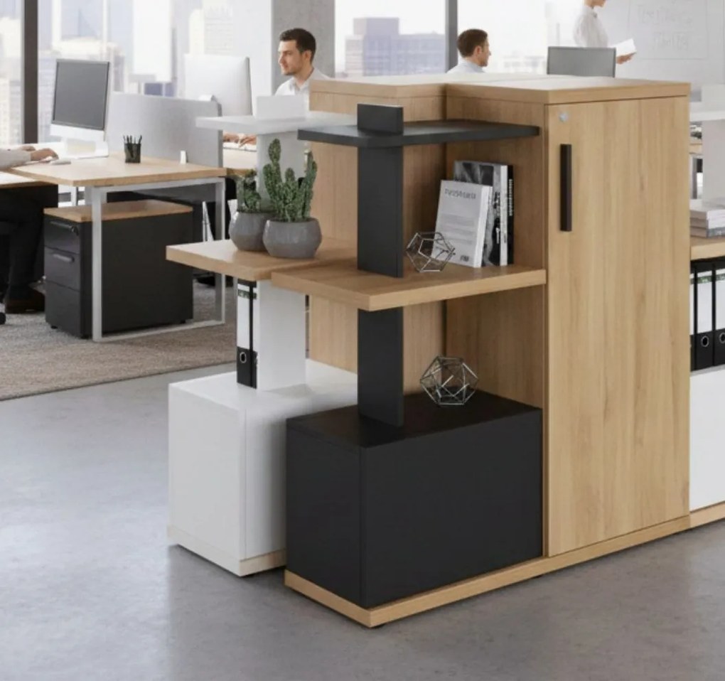 Кабинет Skyler-Sonoma-Leuko