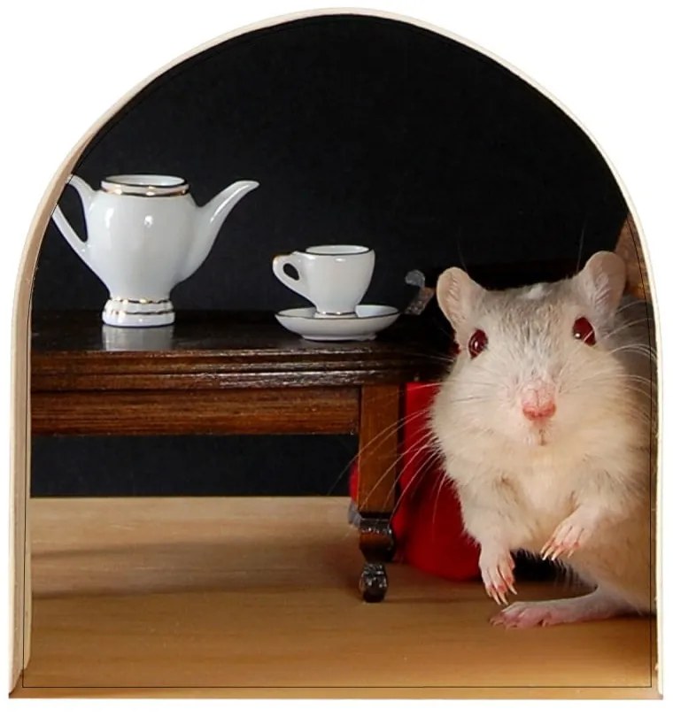 Стикер за миша дупка - Ambiance