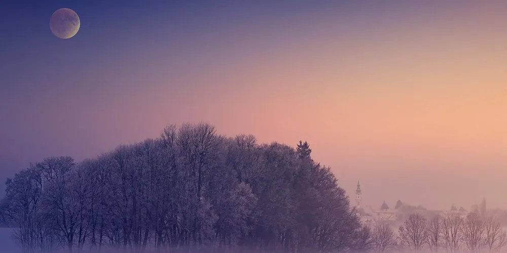 Картина на платно – Пълнолуние над селото