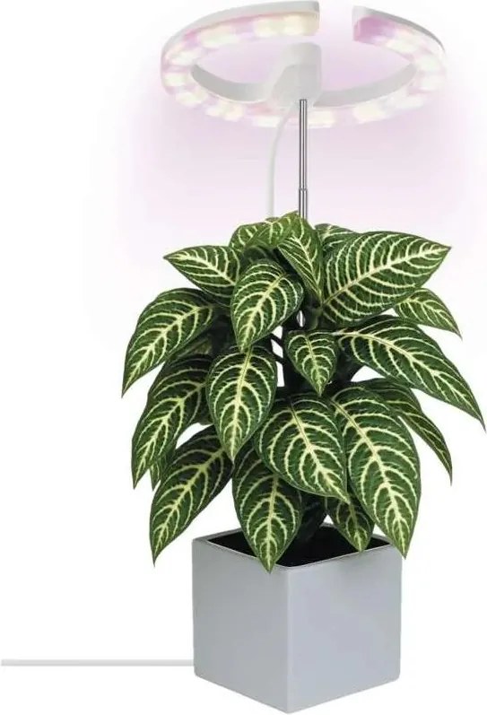 LED лампа с регулируема яркост за вътрешно отглеждане на растения GROW LED/8W/5V