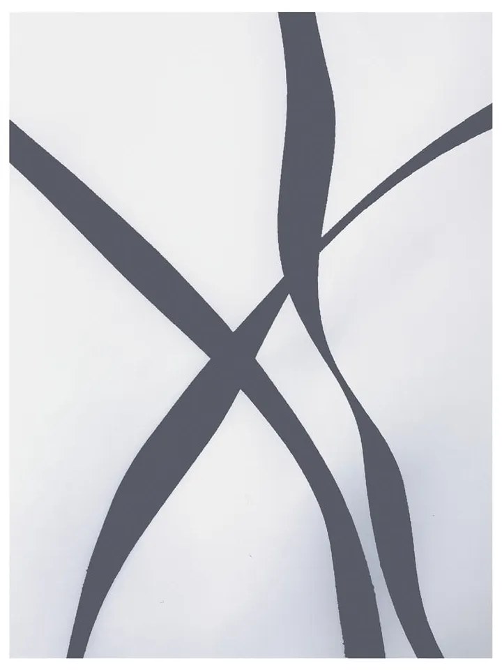 Завеса за душ 180x200 cm Ribbon – Spirella