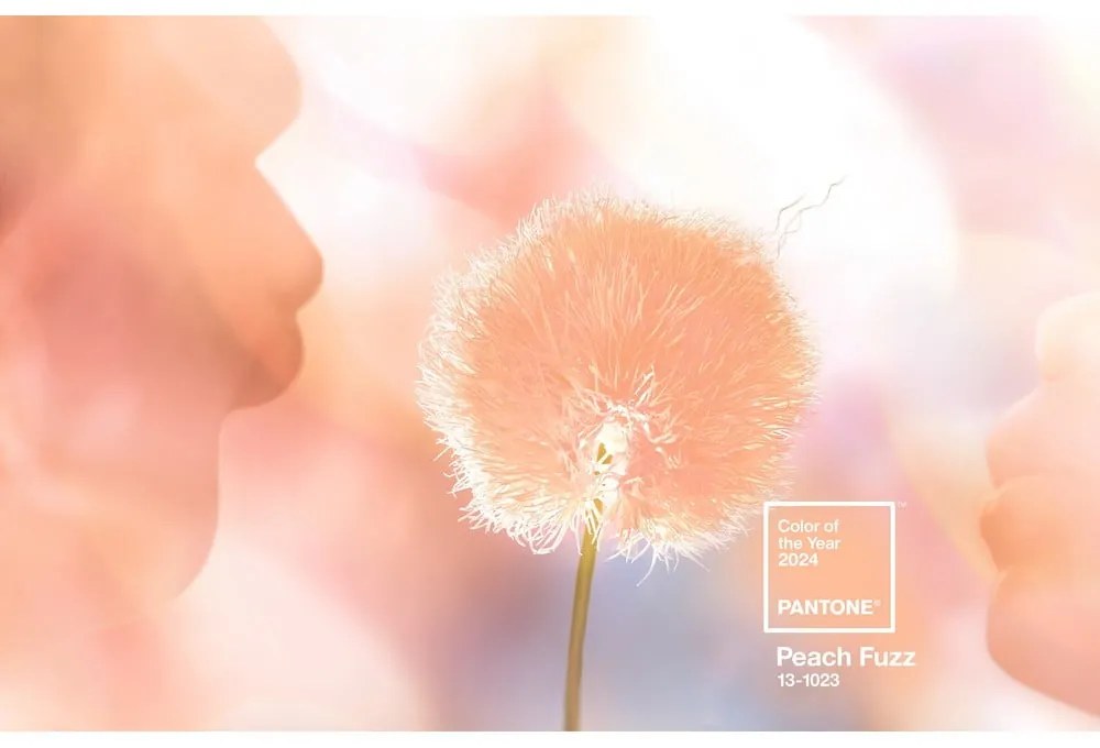 Оранжев ключодържател Peach Fuzz 13-1023 - Pantone