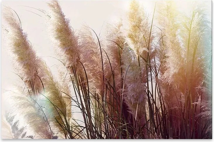 "Soft Pampas" картина на платно цифров печат 125x80x3см.