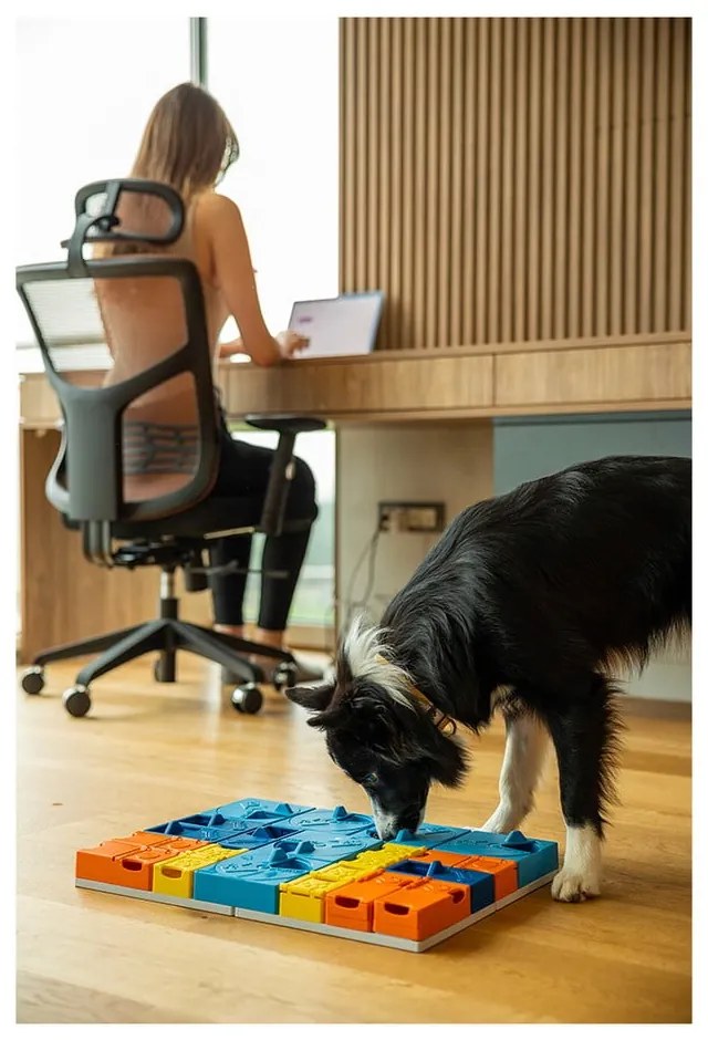 Пъзели за кучета - Pawzler