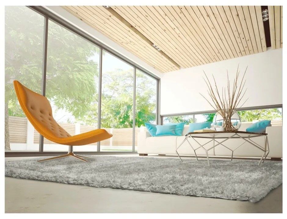 Сив килим Aloe Liso, 160 x 230 cm - Universal