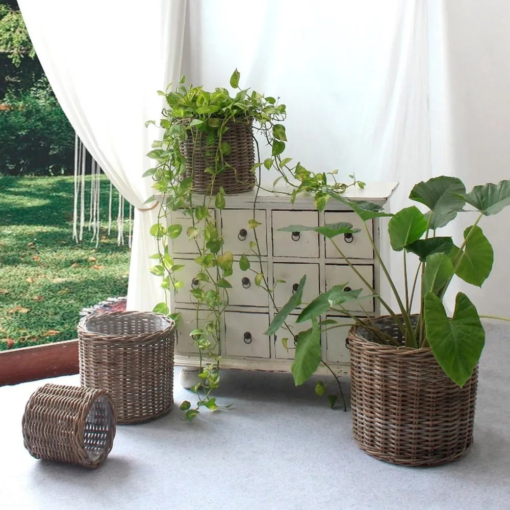 Кашпи от плетеница в комплект от 4 бр. ø 40 cm Bogor – House Nordic