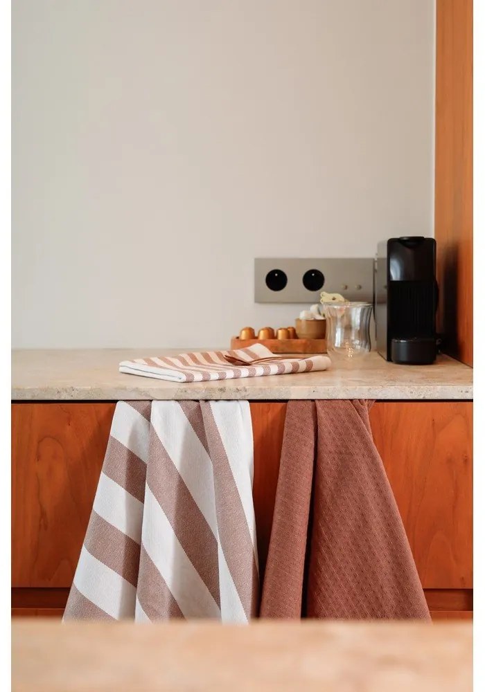 Памучни кърпи за съдове в комплект от 3 бр. 51x74 cm Marra – Tiseco Home Studio