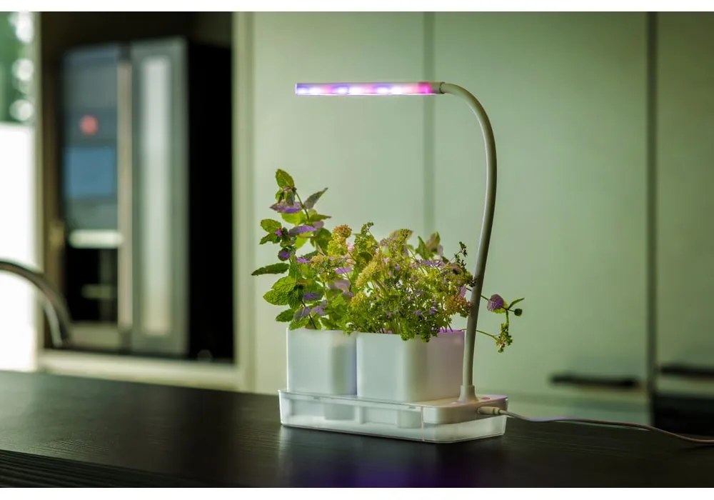 Метален разсадник за растения Lamp – Esschert Design