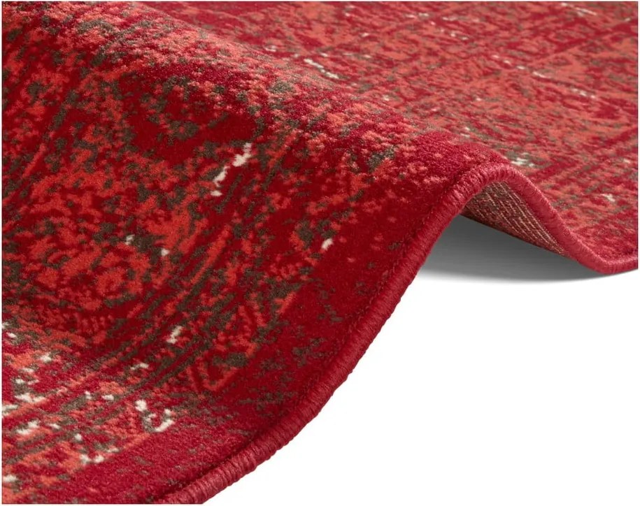 Червен килим Celebration , 80 x 150 cm Plume - Hanse Home