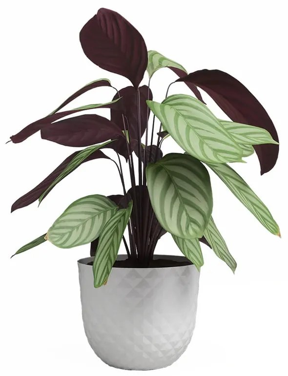 Саксия за цветя от рециклирана пластмаса ø 20 cm Havana – Artevasi