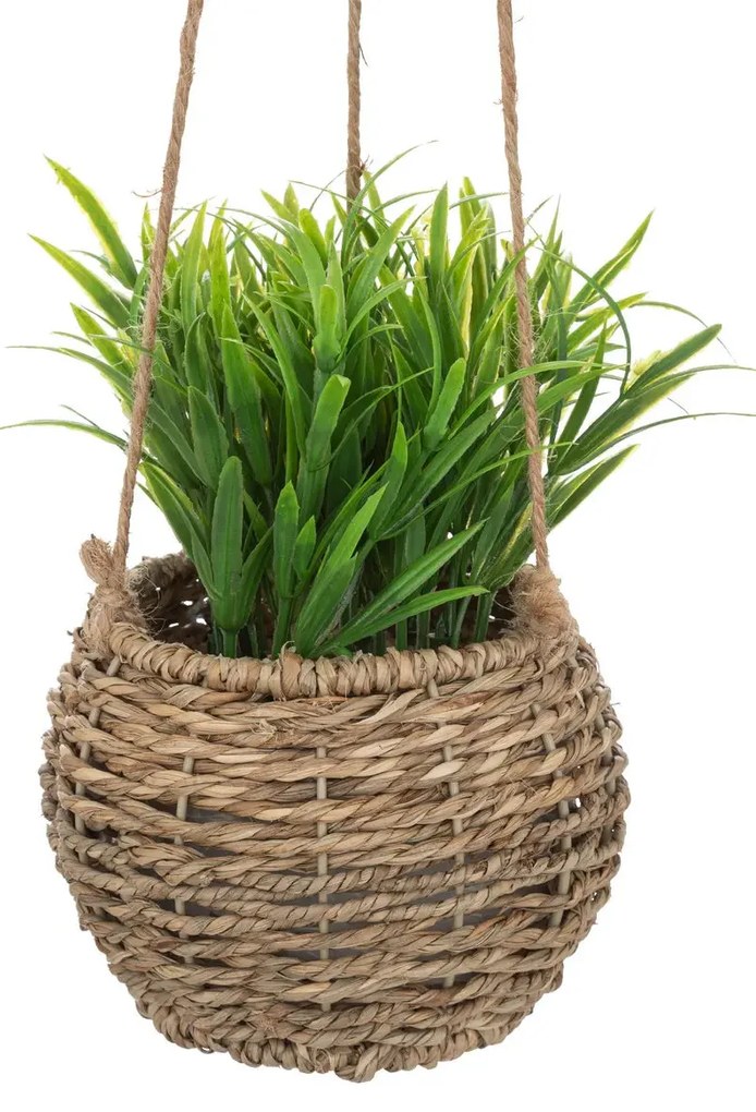 Изкуствено растение atmosphera Zoе, 17 cm, Различни видове