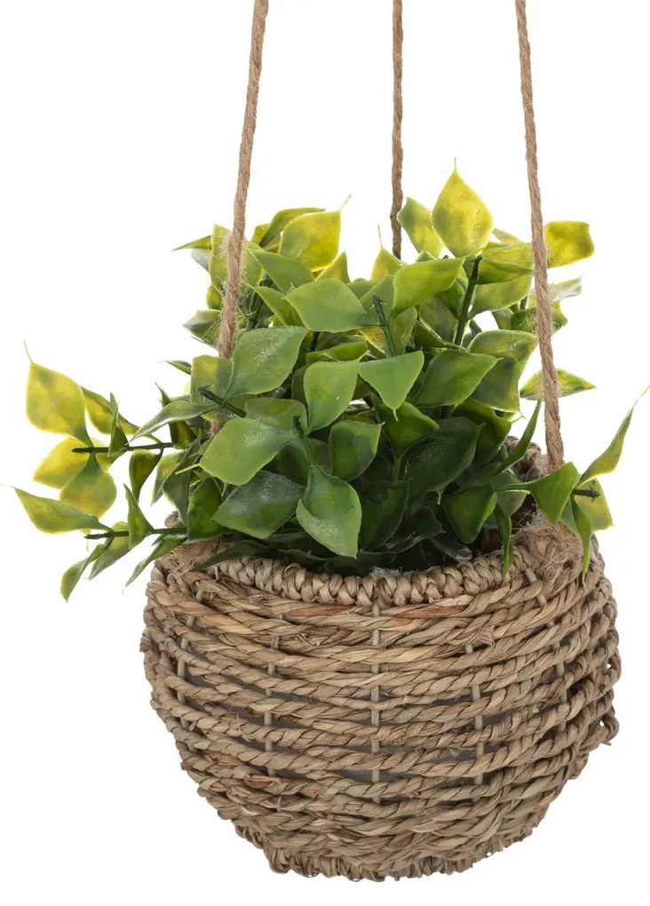 Изкуствено растение atmosphera Zoе, 17 cm, Различни видове