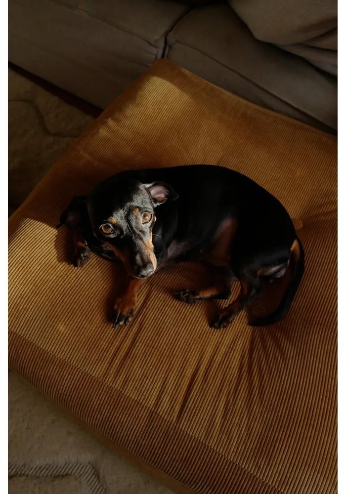 Диван Mocca pouf More - Karup Design