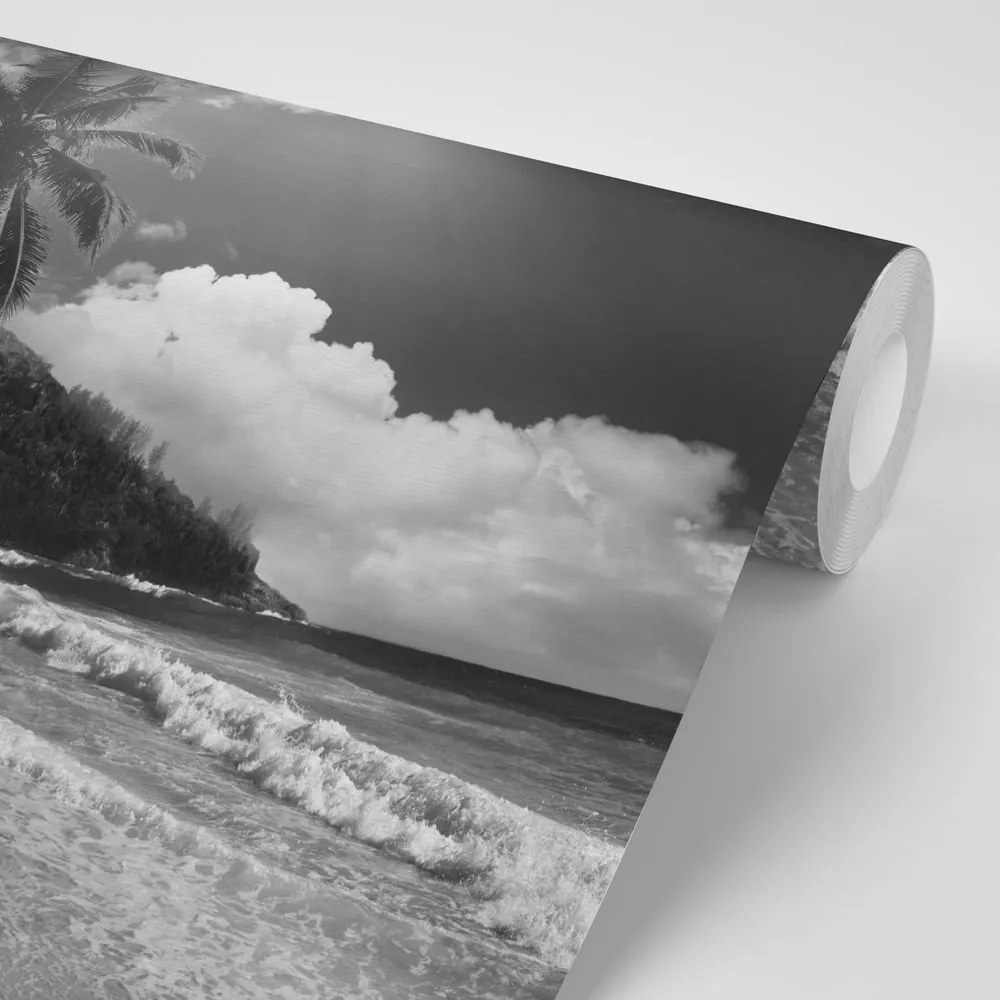 Самозалепващ фототапет – Плаж на остров Сейшели в черно-бяло
