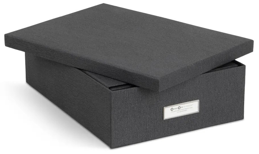 Картонени органайзери за докумнети в комплект от 5 бр. Holger – Bigso Box of Sweden