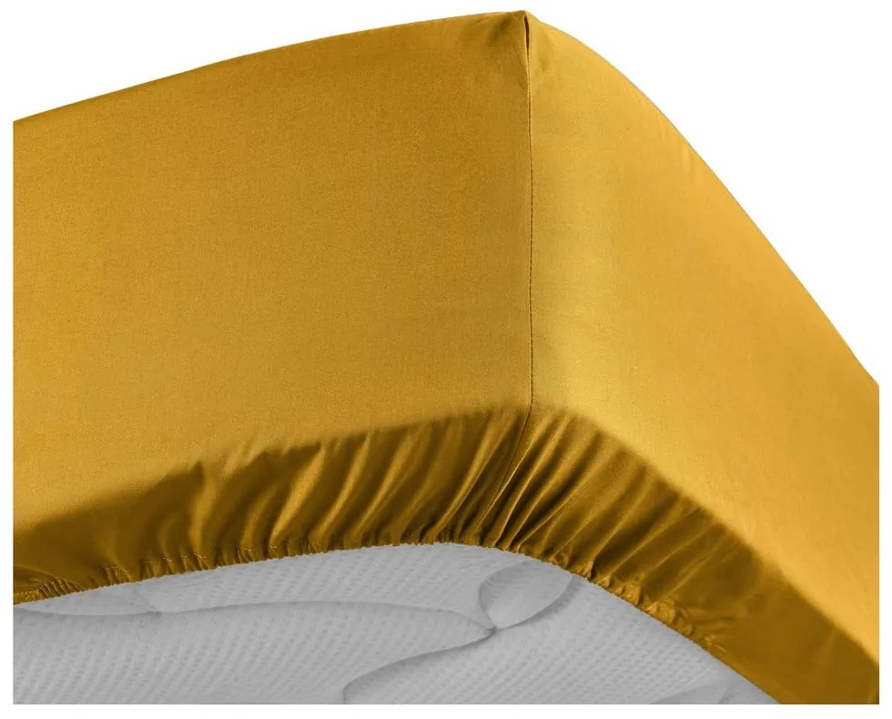 Жълт еластичен чаршаф от памук перкал 180x200 cm Percaline – douceur d'intérieur