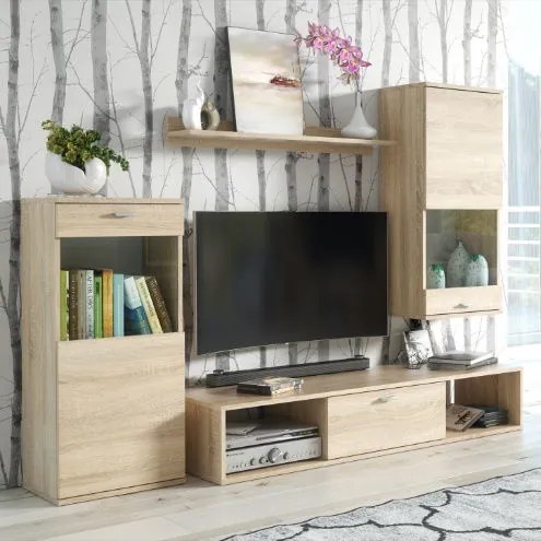 Холна секция Rico