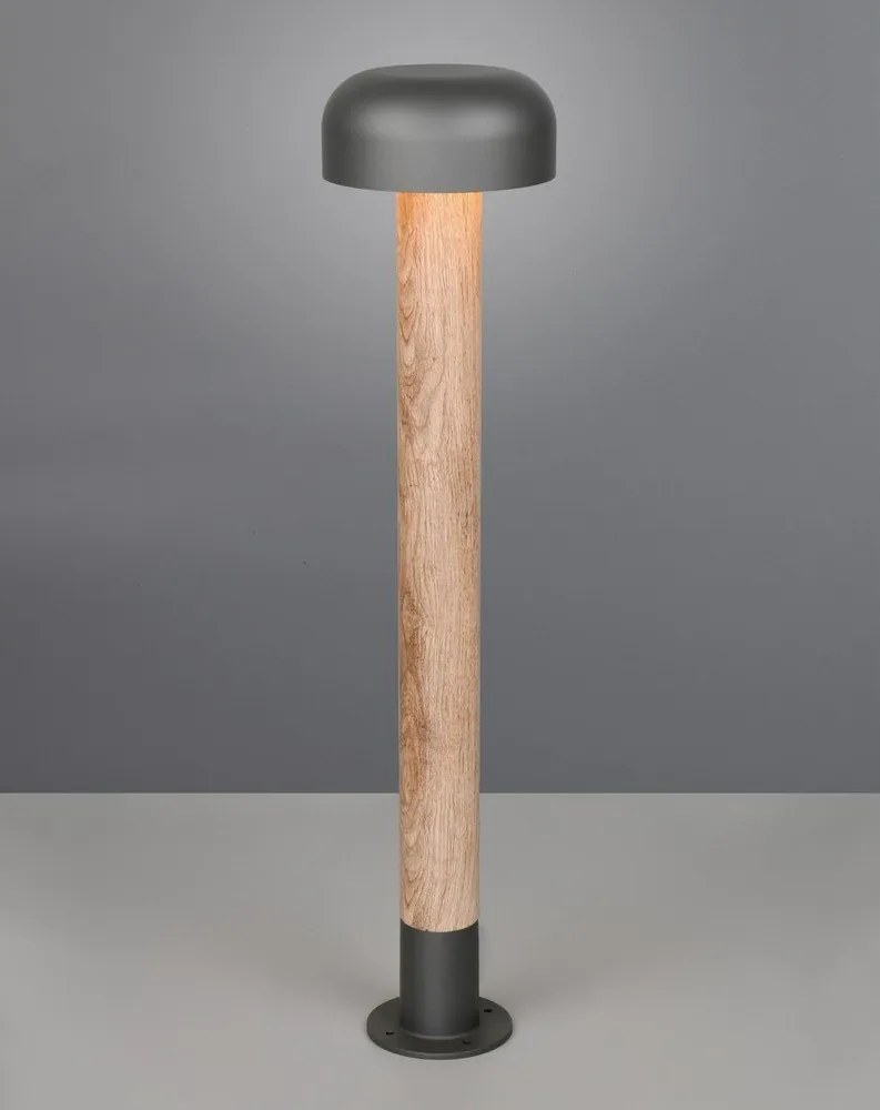 Колонно външно осветително тяло ø 19 cm Fraser – Trio