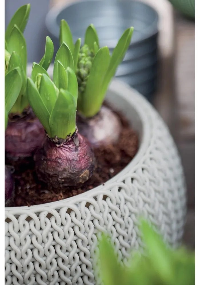 Пластмасова висяща стенна саксия за цветя ø 28 cm Cozy – Keter