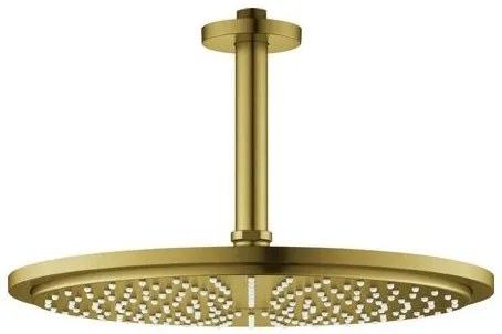 Душ глава с покривна скоба Grohe Rain Душ Essence New-Gold Mat