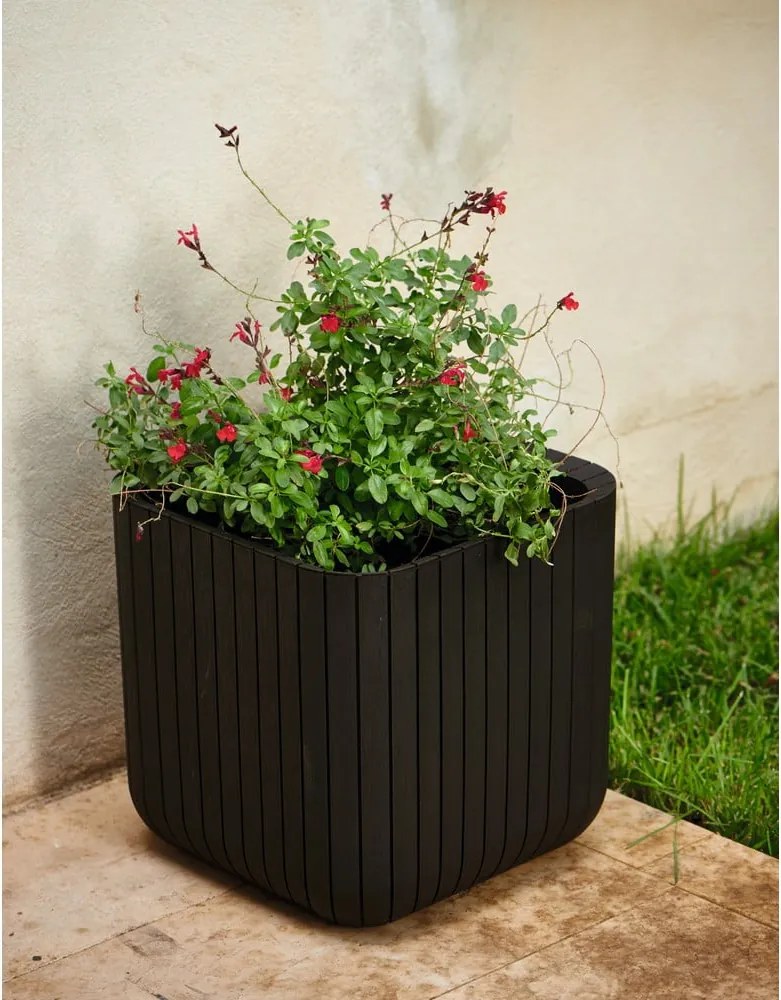 Пластмасова саксия за цветя Cube – Keter