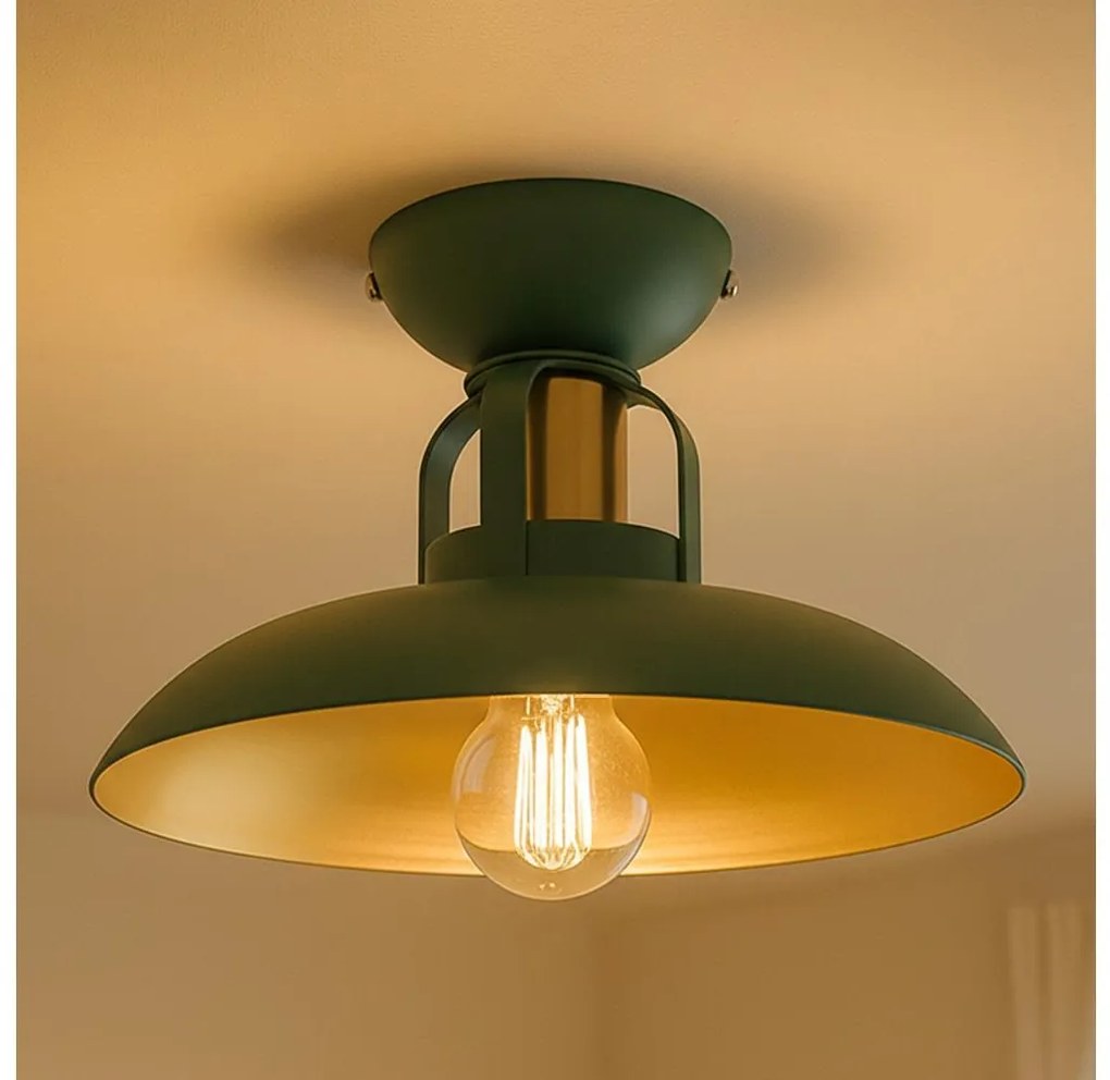 Brilagi - LED Полилей за повърхностен монтаж FLAMENGO 1xE27/60W/230V зелен