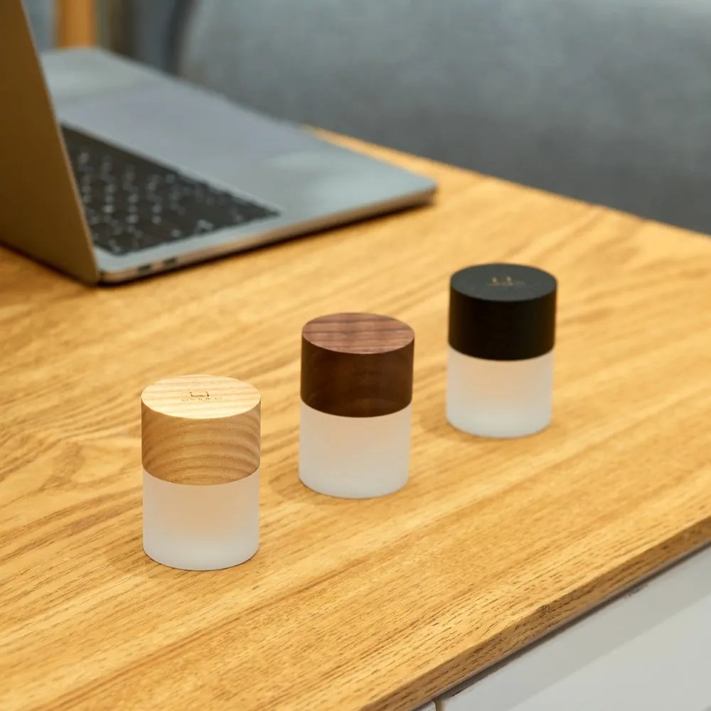 Черна светлинна декорация с USB ø 4,5 cm Lemelia – Gingko