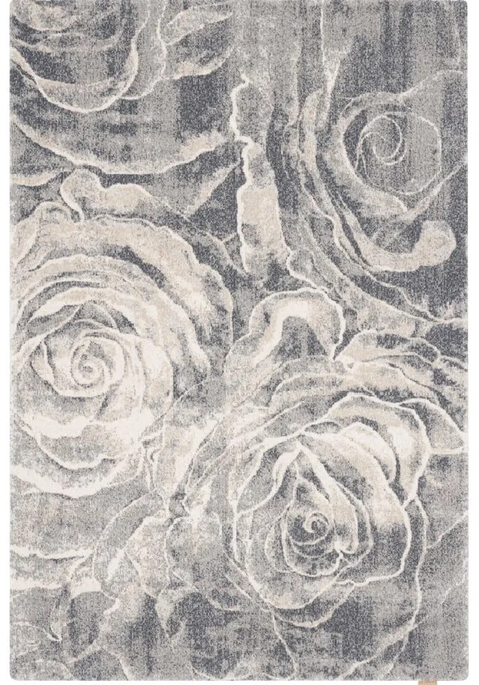 Сив вълнен килим 133x190 cm Ros - Agnella