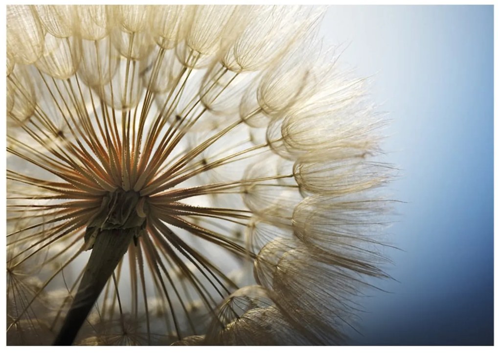 тапети - Summer Delight 350x245