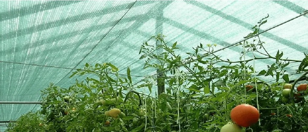 Засенчваща мрежа СИВА 1,5M x 50M 90% СЯНКА