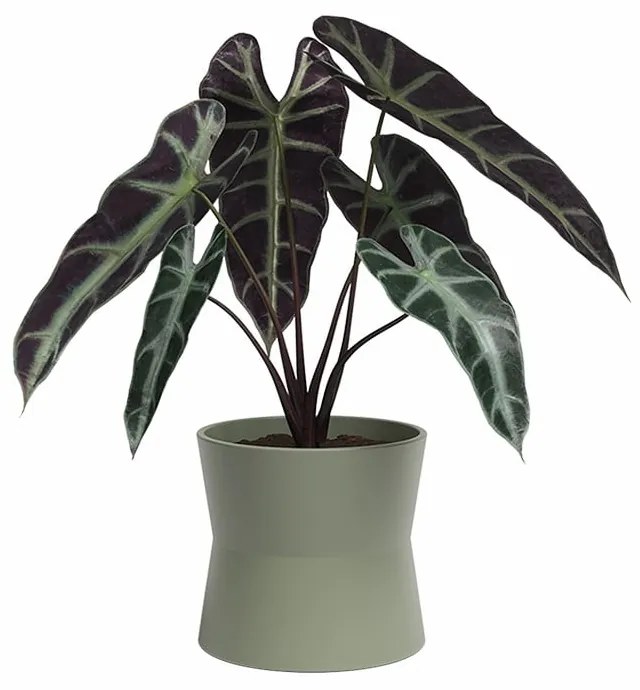 Керамична саксия за цветя ø 14 cm Diana – Artevasi