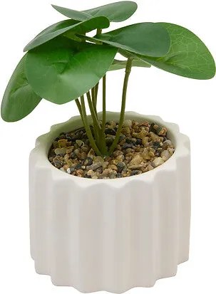 Изкуствено растение atmosphera Flow, 16 cm, Различни видове