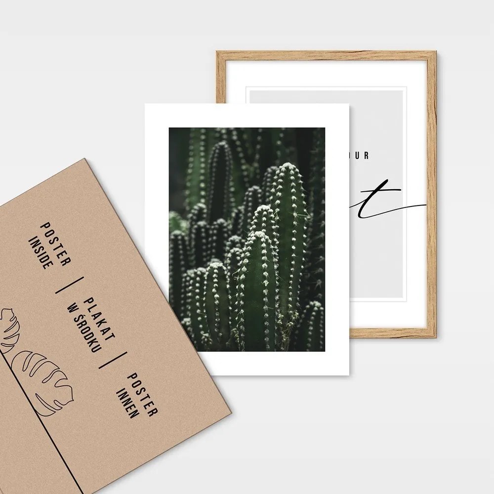 Картини в комплект 4 бр. 32x42 cm – knor