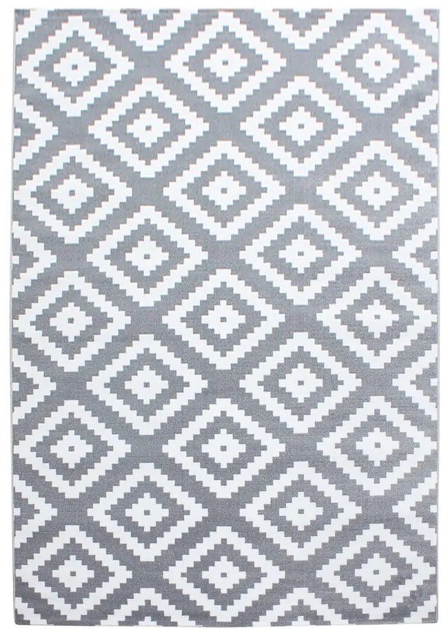 Светлосив килим 80x150 cm Plus – Ayyildiz Carpets