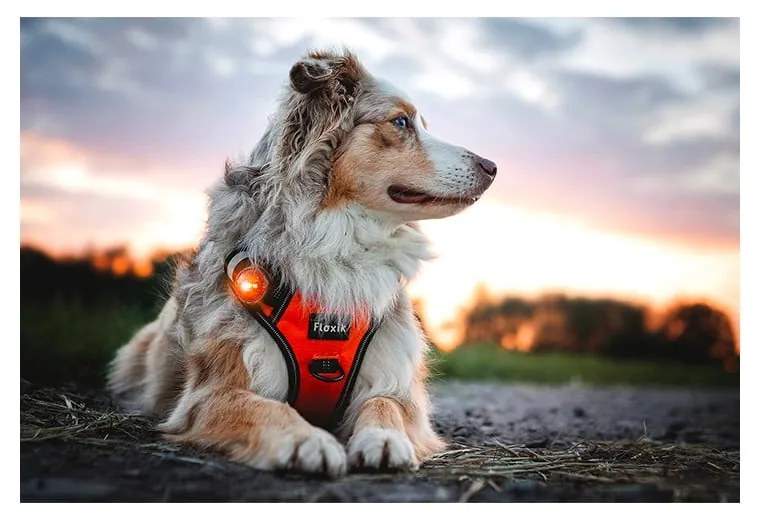 LED светлина за яка Amber - Orbiloc