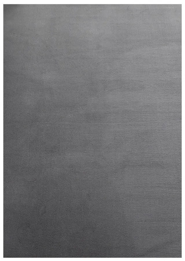Сив килим подходящ за пране 60x110 cm Sky – Ayyildiz Carpets