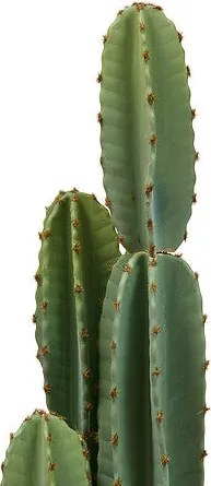 Изкуствено растение atmosphera Sien Cactus, 132 cm