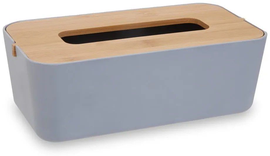 Пластмасова кутия за носни кърпички Canyon - Premier Housewares