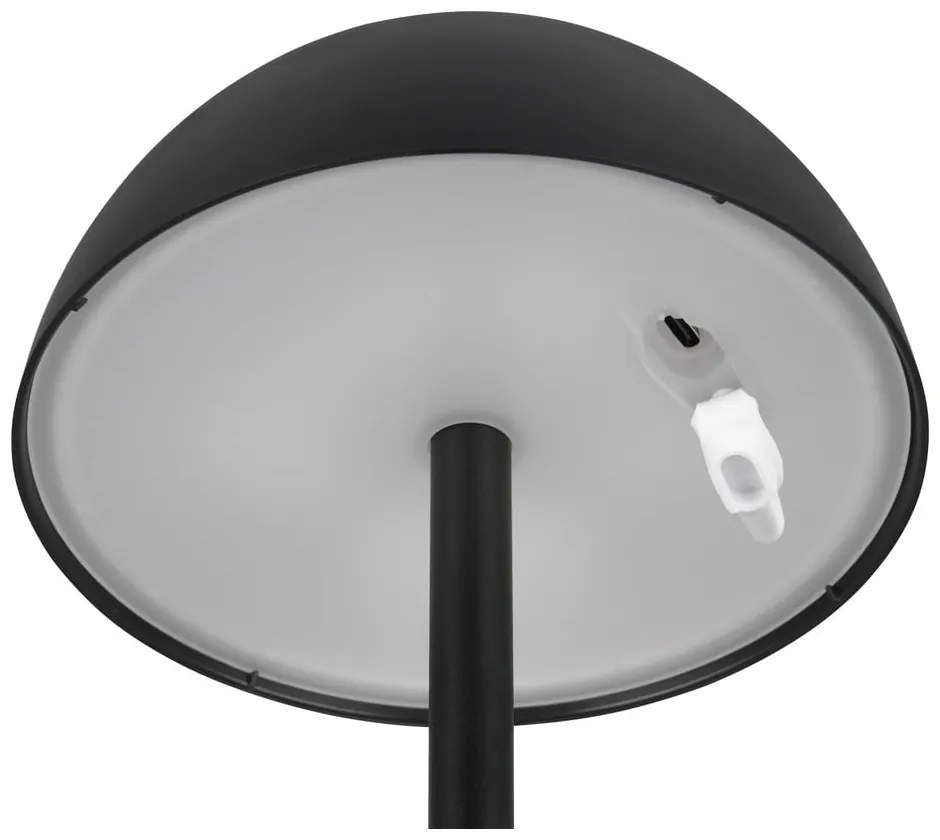 Затъмняващо се външно осветително тяло ø 13,5 cm Ricardo – Trio