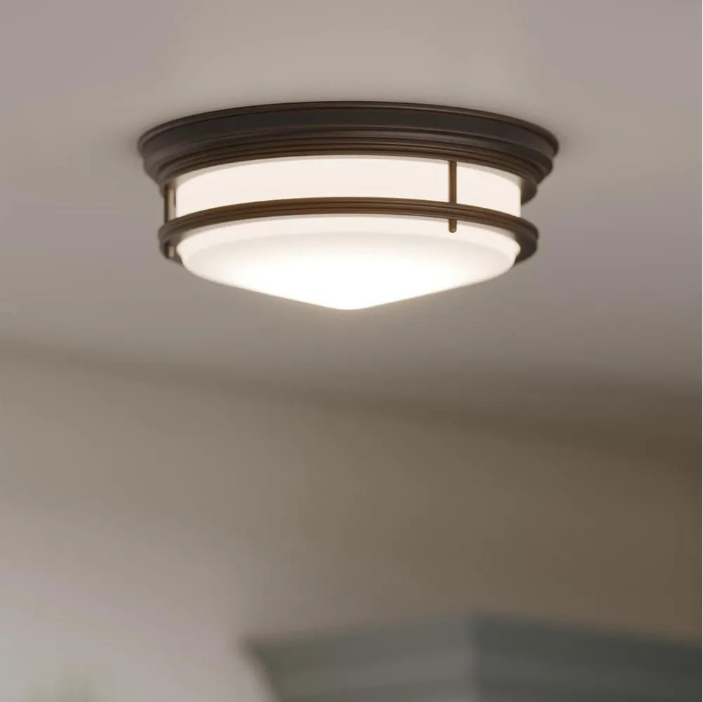 Hinkley HK-HADLEY-F-OZ-За баня таванно осветително тяло HADLEY 3xE27/40W/230V IP44 бронзово