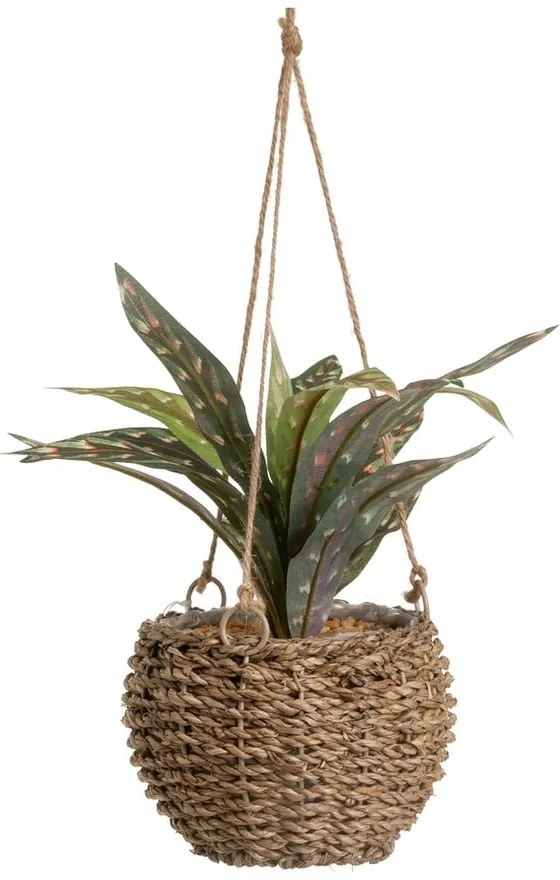 Изкуствено растение (височина 25 cm) – Casa Selección