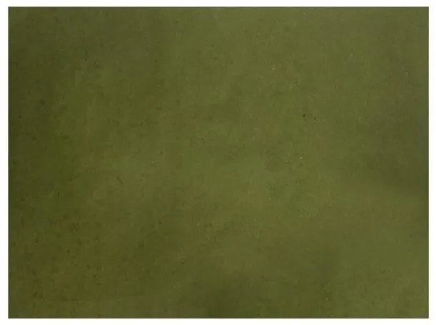 Хартиена подложка за хранене 33x44см зелена (TVN00 V)-ПАКЕТ 250бр LUNI PAPER - Horecano