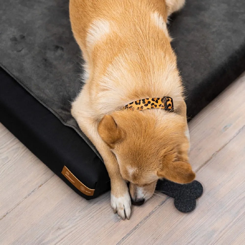 Тъмносив калъф за кучешки матрак 90x70 cm Ori XL - Rexproduct