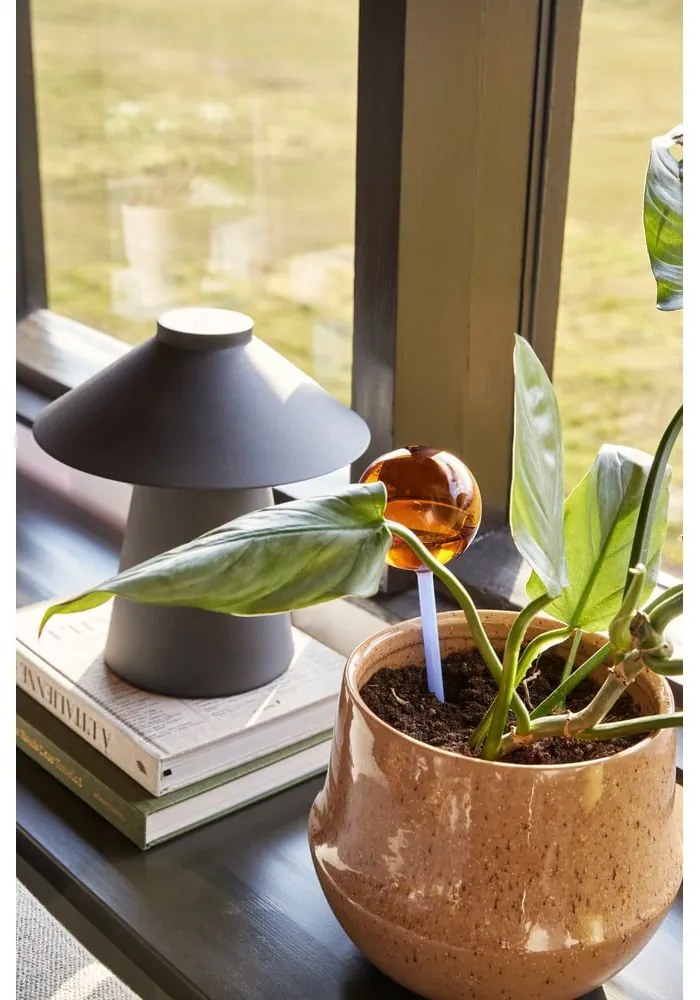 Керамични покрития за кашпи в комплект от 2 бр. ø 31 cm Vibe – Hübsch